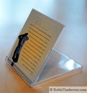 bobbi-CD-card-holder